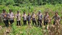 IMG-20260604-WA0018